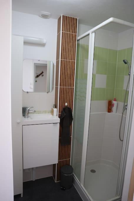 Petite Venise Du Gatinais - T2 Avec Jardin Villa Montargis Ngoại thất bức ảnh